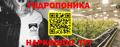 ГАЛЛЮЦИНОГЕННЫЕ ГРИБЫ Камышлов