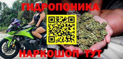 ГАЛЛЮЦИНОГЕННЫЕ ГРИБЫ Камышлов