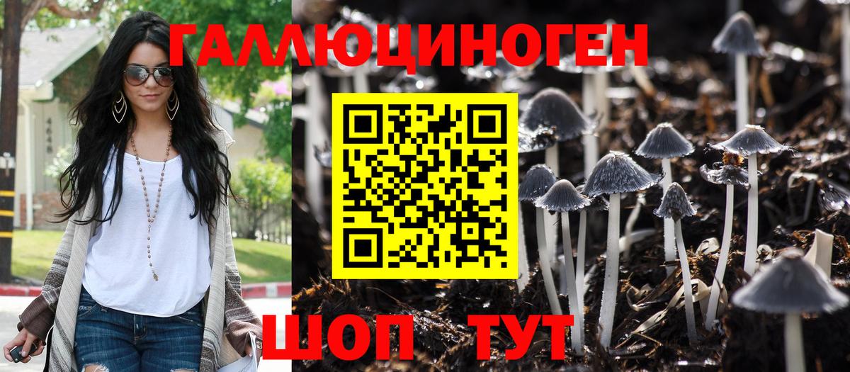 Галлюциногенные грибы Psilocybine cubensis Сунжа